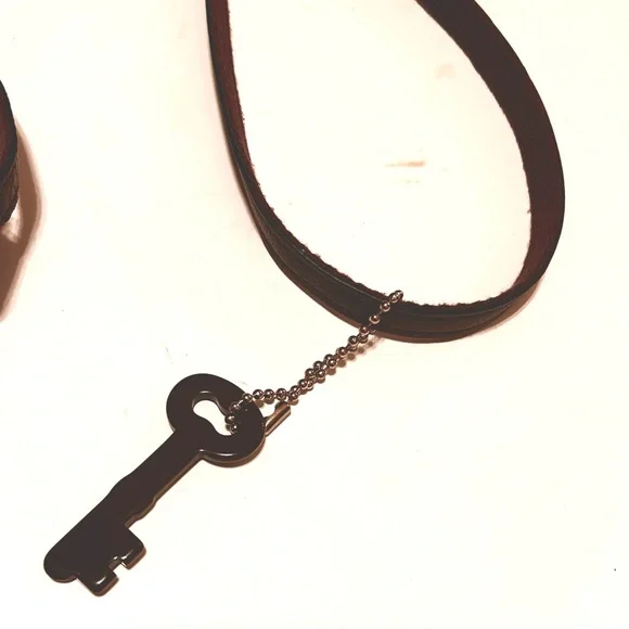 Fossil Rich Chocolate Brown Pebble Leather Crossbody Bag EC - Picture 4 of 8